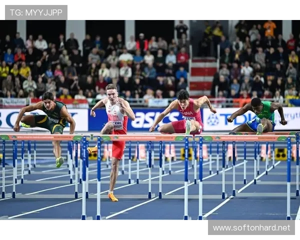 wpc锦标赛世界杯体育论坛